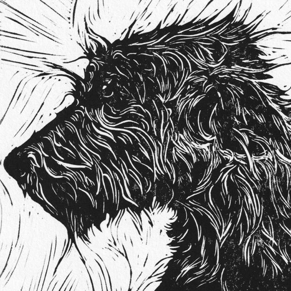 Wolf Hound - Image 2